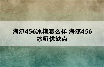 海尔456冰箱怎么样 海尔456冰箱优缺点